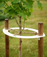 Tree Support