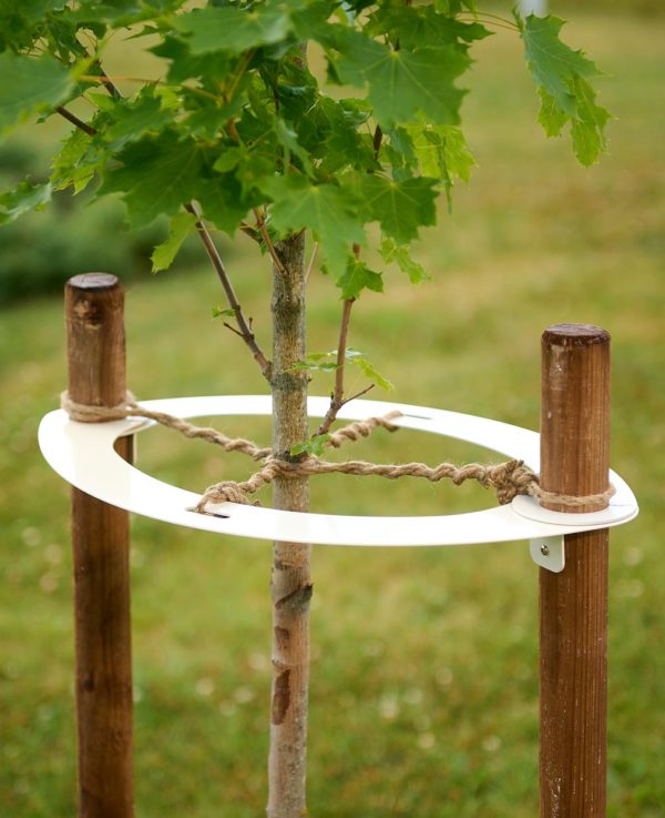 Tree Support