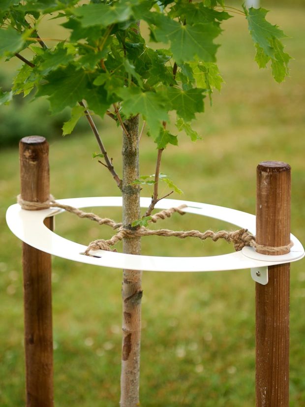 Tree Support